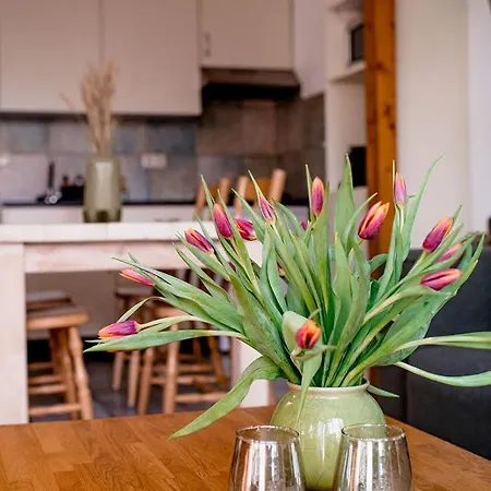 Diek 27 Farmhouse Apartment Den Hoorn (North Holland)