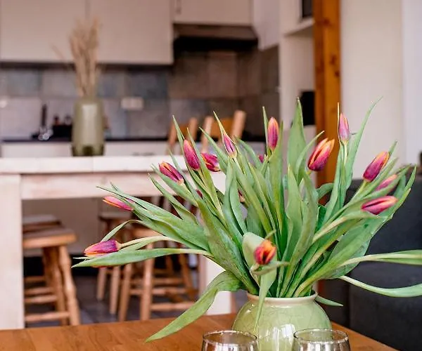 Diek 27 Farmhouse Daire Den Hoorn (North Holland)