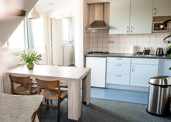 Diek 27 Farmhouse Daire Den Hoorn (North Holland)