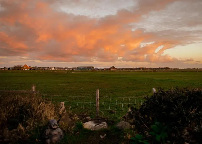 Diek 27 Farmhouse * Den Hoorn (North Holland)